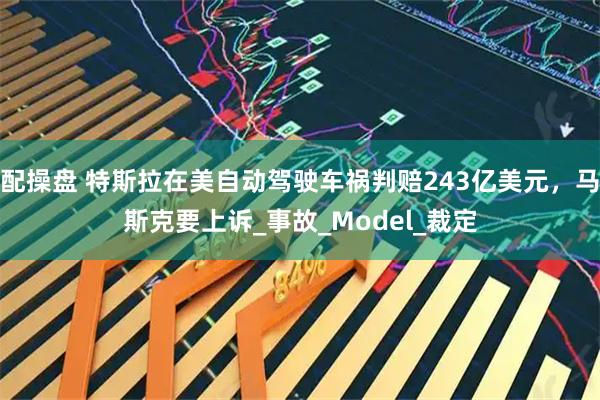 配操盘 特斯拉在美自动驾驶车祸判赔243亿美元，马斯克要上诉_事故_Model_裁定