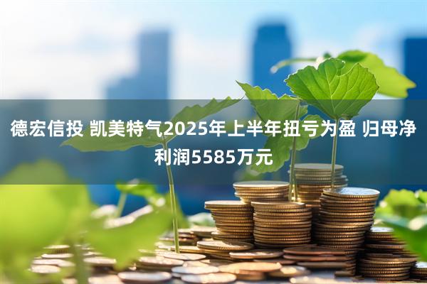 德宏信投 凯美特气2025年上半年扭亏为盈 归母净利润5585万元